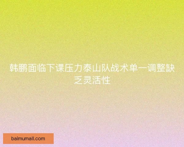 韩鹏面临下课压力泰山队战术单一调整缺乏灵活性