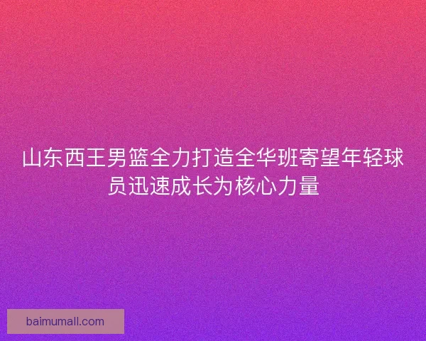 山东西王男篮全力打造全华班寄望年轻球员迅速成长为核心力量
